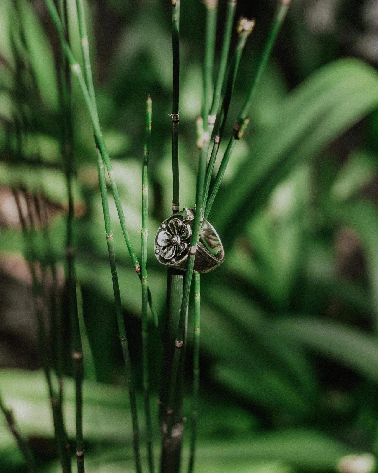 ALLERS Ring with a silver flower and horseshoe design, suspended among green stems.